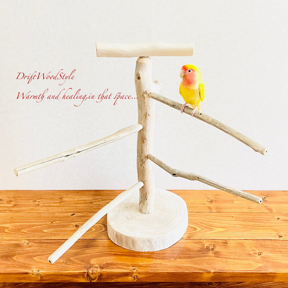 流木の止まり木  取り外しができる止まり木スタンド Mサイズ インコ オウム 鳥 バードスタンド パーチ N2 2枚目の画像