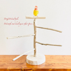 流木の止まり木  取り外しができる止まり木スタンド Mサイズ インコ オウム 鳥 バードスタンド パーチ N2 1枚目の画像