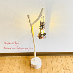 流木インテリア 希少な白い流木の流木スタンド ランタンやエアプラントを飾れる置物 北欧 照明 木材 N86 4枚目の画像