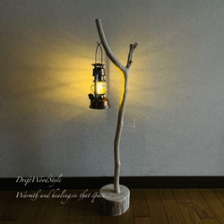 流木インテリア 希少な白い流木の流木スタンド ランタンやエアプラントを飾れる置物 北欧 照明 木材 N86 9枚目の画像