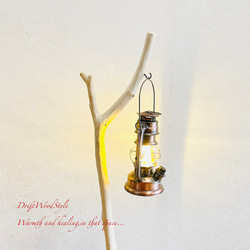 流木インテリア 希少な白い流木の流木スタンド ランタンやエアプラントを飾れる置物 北欧 照明 木材 N86 11枚目の画像