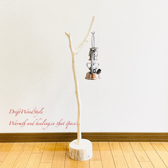 流木インテリア 希少な白い流木の流木スタンド ランタンやエアプラントを飾れる置物 北欧 照明 木材 N86 3枚目の画像