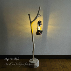 流木インテリア 希少な白い流木の流木スタンド ランタンやエアプラントを飾れる置物 北欧 照明 木材 N86 2枚目の画像