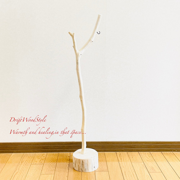 流木インテリア 希少な白い流木の流木スタンド ランタンやエアプラントを飾れる置物 北欧 照明 木材 N86 13枚目の画像