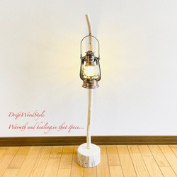 流木インテリア 希少な白い流木の流木スタンド ランタンやエアプラントを飾れる置物 北欧 照明 木材 N86 5枚目の画像