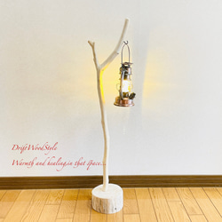 流木インテリア 希少な白い流木の流木スタンド ランタンやエアプラントを飾れる置物 北欧 照明 木材 N86 1枚目の画像