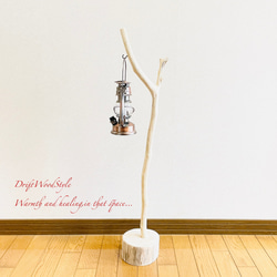 流木インテリア 希少な白い流木の流木スタンド ランタンやエアプラントを飾れる置物 北欧 照明 木材 N86 10枚目の画像