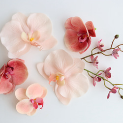 バーガンディ＆ピンクのウェディングブーケ アマランサス