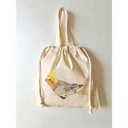 p-jet ほわっとした セキセイインコ ルチノー Tシャツ / 鳥 T