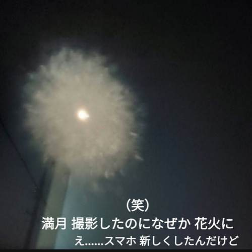 風水開運　波動アート＊月華〜宇宙光花〜満月 　フラワームーン　エネルギー花　満開 風水 波動アート＊月華〜宇宙光花〜満月 フラワームーン