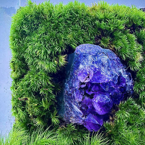 心の平安］美しい厳選された天然石アメジストの苔テラリウム落ち着いた