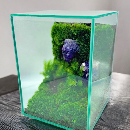 心の平安］美しい厳選された天然石アメジストの苔テラリウム落ち着いた