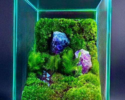 心の平安］美しい厳選された天然石アメジストの苔テラリウム落ち着いた