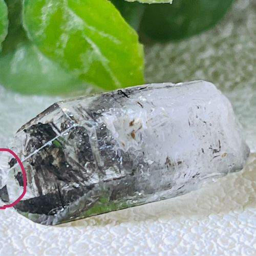 チベット産✨　カーボン入りセプタークォーツ　松茸水晶　原石　子宝水晶 チベット産✨ カーボン入りセプタークォーツ 松茸水晶 原石 子宝