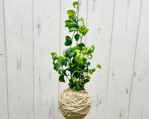 99720dba0c085d5596280a1eff508f