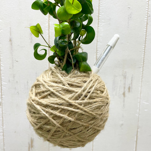 新作 ナチュラル素材で仕立てた＊ ベンジャミン・バロック 吊り下げ