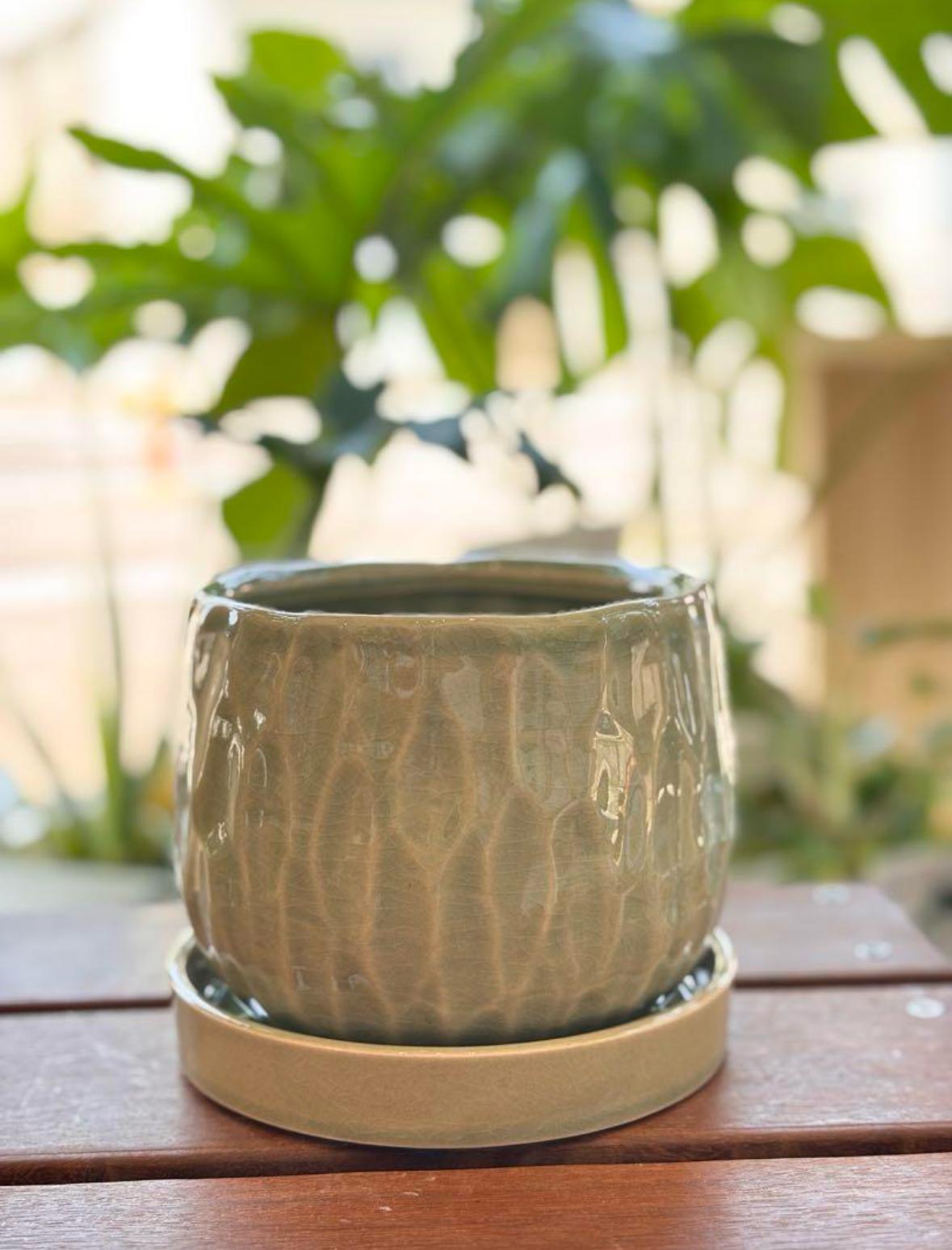 植木鉢 おしゃれ 陶器鉢 多肉植物 観葉植物に