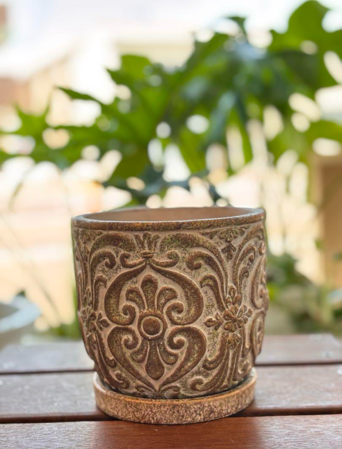 植木鉢 おしゃれ 陶器鉢 多肉植物 観葉植物に