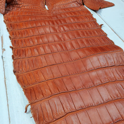 ワニ革 クロコ 半艶マット  コニャック　No.C008303 18枚目の画像