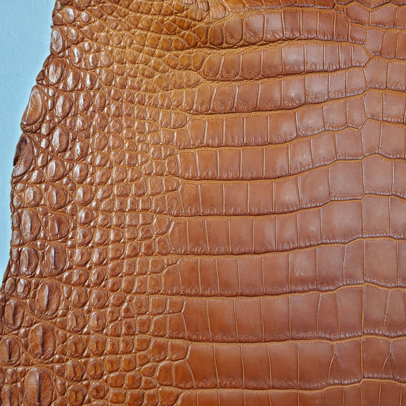 ワニ革 クロコ 半艶マット  コニャック　No.C008303 12枚目の画像