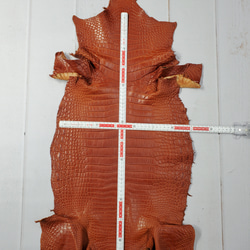 ワニ革 クロコ 半艶マット  コニャック　No.C008303 6枚目の画像