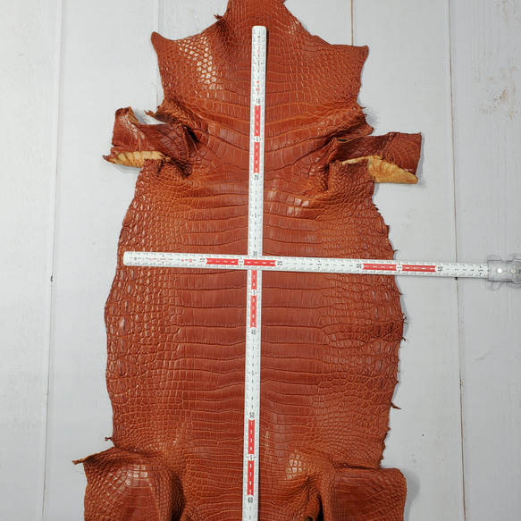 ワニ革 クロコ 半艶マット  コニャック　No.C008303 6枚目の画像