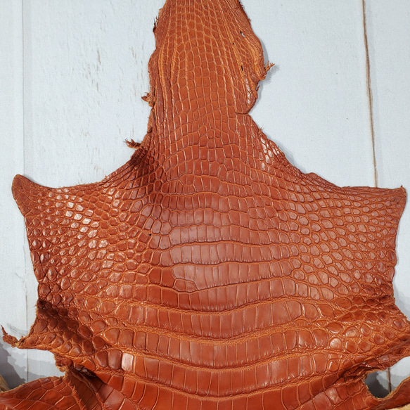 ワニ革 クロコ 半艶マット  コニャック　No.C008303 3枚目の画像
