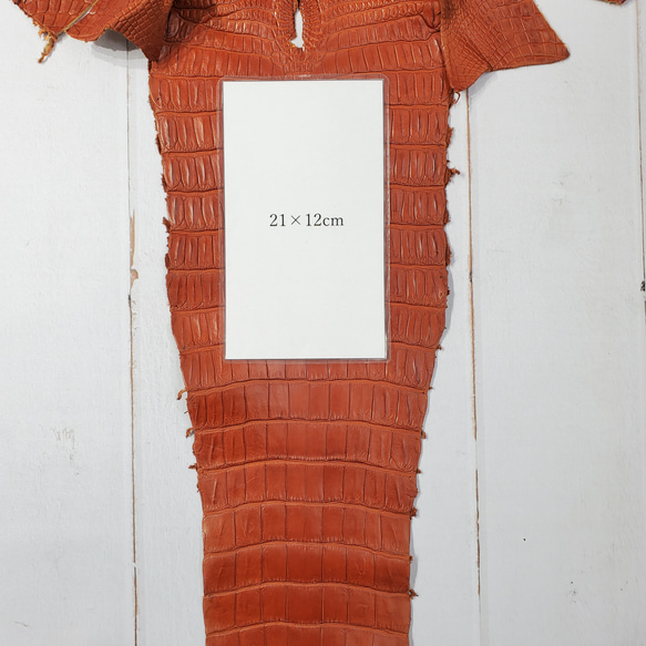 ワニ革 クロコ 半艶マット  コニャック　No.C008303 9枚目の画像