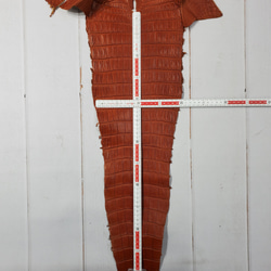 ワニ革 クロコ 半艶マット  コニャック　No.C008303 7枚目の画像