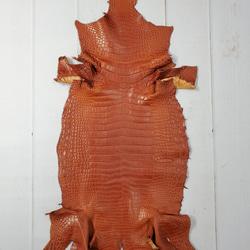 ワニ革 クロコ 半艶マット  コニャック　No.C008303 1枚目の画像