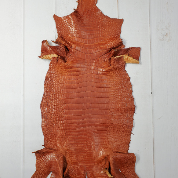 ワニ革 クロコ 半艶マット  コニャック　No.C008303 1枚目の画像