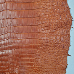 ワニ革 クロコ 半艶マット  コニャック　No.C008303 15枚目の画像