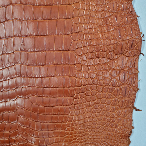 ワニ革 クロコ 半艶マット  コニャック　No.C008303 15枚目の画像