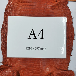 ワニ革 クロコ 半艶マット  コニャック　No.C008303 8枚目の画像