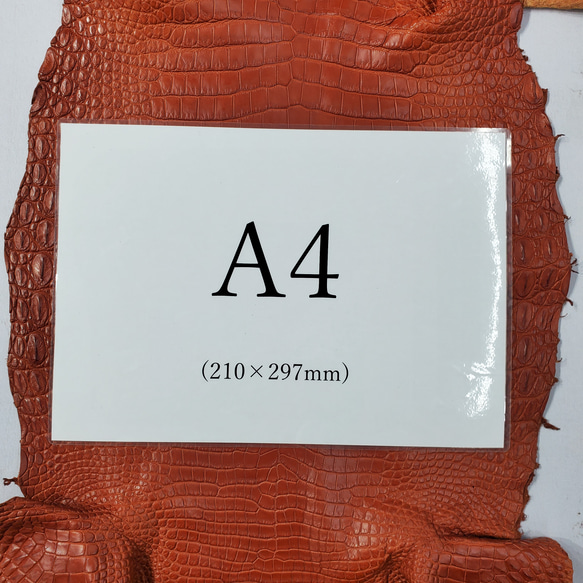 ワニ革 クロコ 半艶マット  コニャック　No.C008303 8枚目の画像