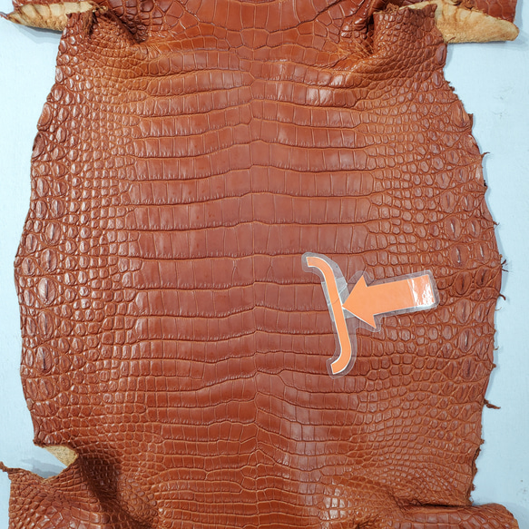 ワニ革 クロコ 半艶マット  コニャック　No.C008303 10枚目の画像