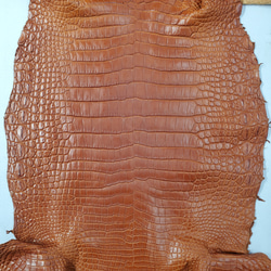 ワニ革 クロコ 半艶マット  コニャック　No.C008303 4枚目の画像