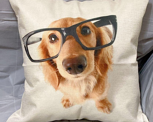 新商品 クッションカバー ミニチュアダックスフンド 犬 インテリア