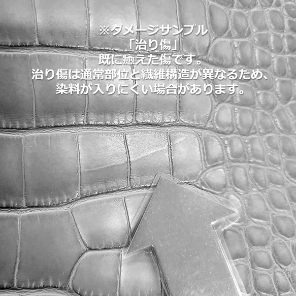 ワニ革  半艶マット  ダークキプロス「小物製作向け」サイズ No.CM0207 8枚目の画像