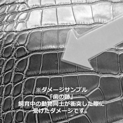 ワニ革  半艶マット  ダークキプロス「小物製作向け」サイズ No.CM0207 11枚目の画像