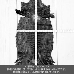 ワニ革  半艶マット  ダークキプロス「小物製作向け」サイズ No.CM0207 7枚目の画像