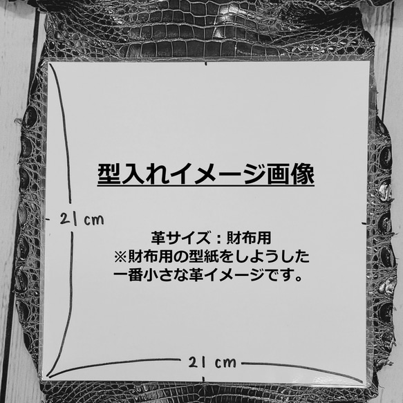 ワニ革  グレージング(艶)  ピーコックブルー(白鞣し)「長財布向け」 No.CM0164 8枚目の画像