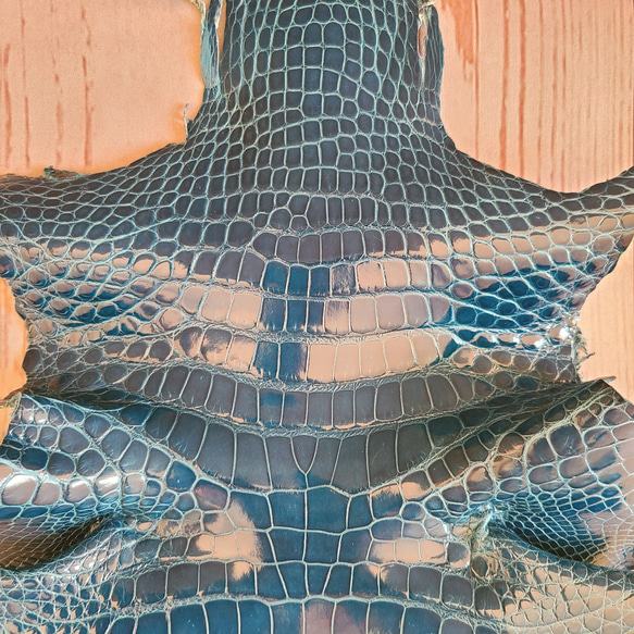 ワニ革  グレージング(艶)  ピーコックブルー(白鞣し)「長財布向け」 No.CM0164 3枚目の画像