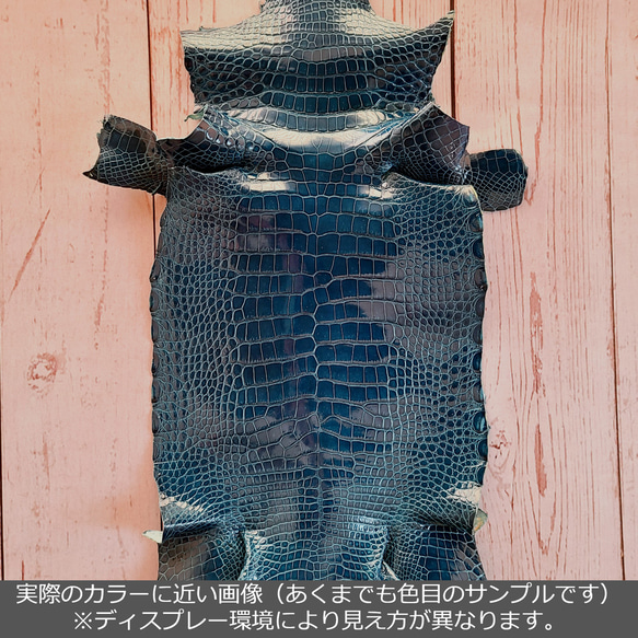 ワニ革  グレージング(艶)  ピーコックブルー(白鞣し)「長財布向け」 No.CM0164 2枚目の画像