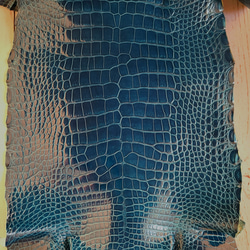 ワニ革  グレージング(艶)  ピーコックブルー(白鞣し)「長財布向け」 No.CM0164 4枚目の画像