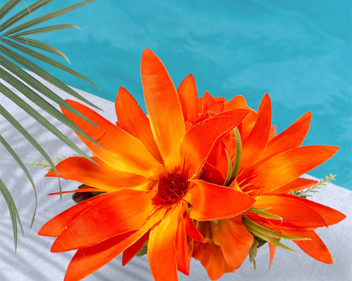 74050b9a8a20668e3f60e7163e33dc