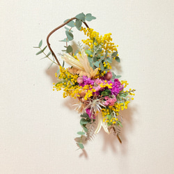 ミモザスワッグ　蓮の実 ミモザスワッグ 蓮の実 スワッグ malay_roseyvespiaget 通販 19113551