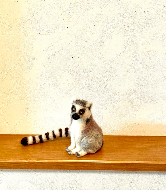 羊毛フェルト　ワオキツネザル ワオキツネザル 羊毛フェルト よっちみかん 通販 8843688