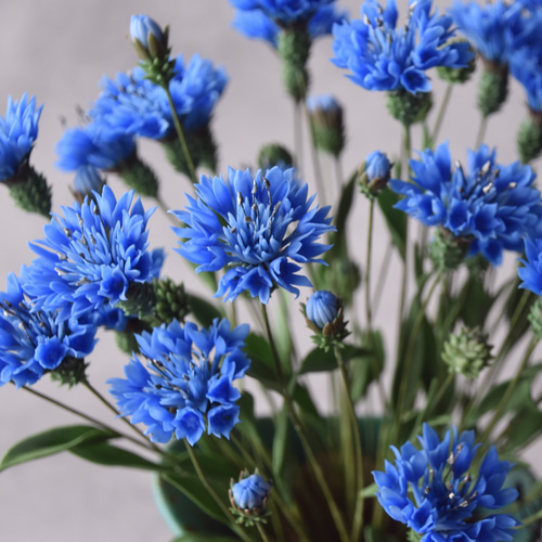 ◇粘土のお花◇ ヤグルマギク（矢車菊）T1221 アートフラワー Old