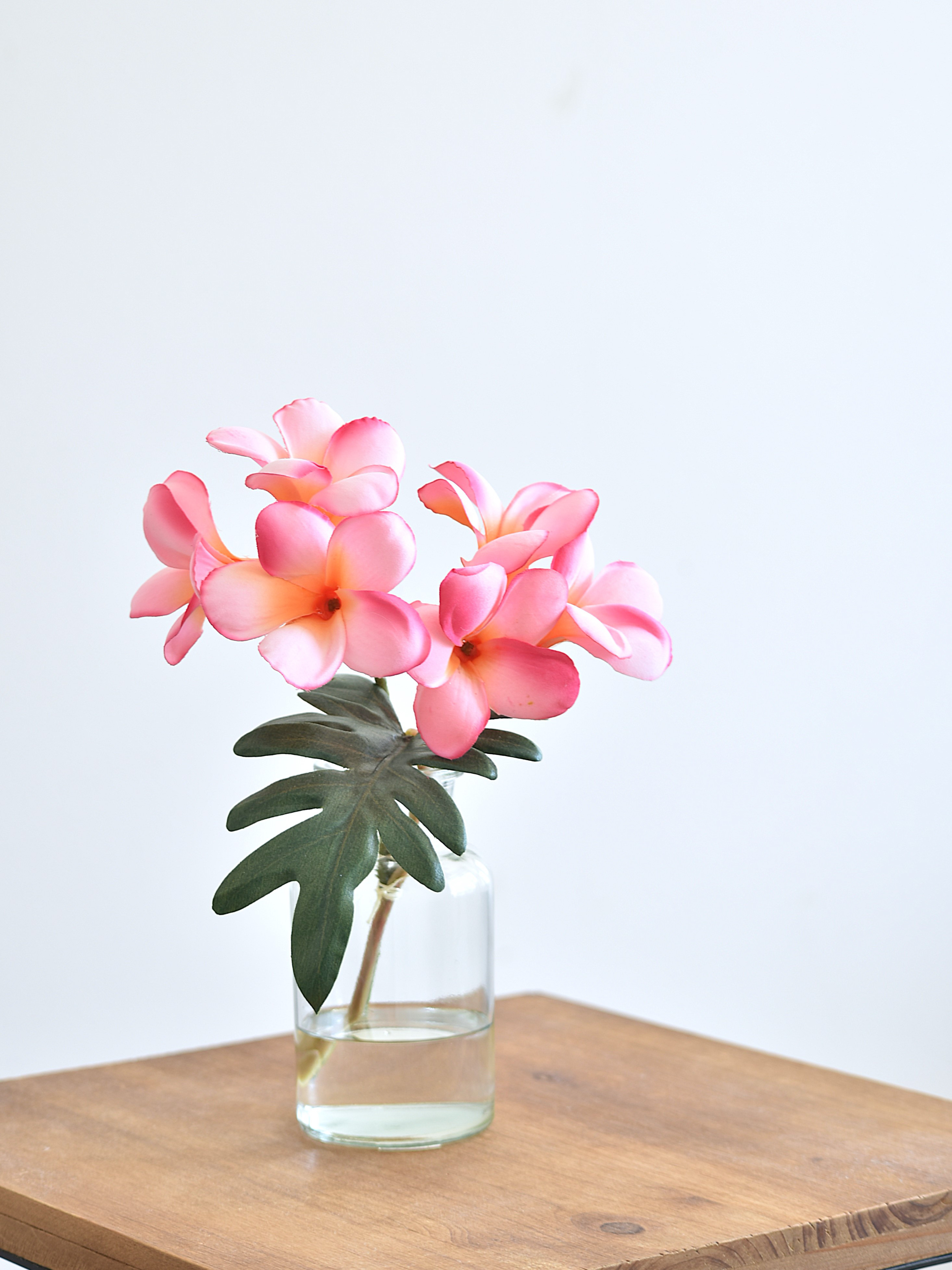 これから満開 プルメリア ピンク 150cm